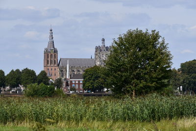 View on the st john's cathedral in 's-hertogenbosch