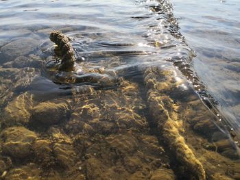 High angle view of rope in sea