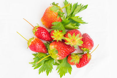 High angle view of strawberries in plate against white background