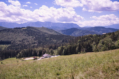 Scenic view of field against sky