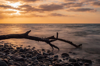 Silhouette driftwood on beach against sky during sunset