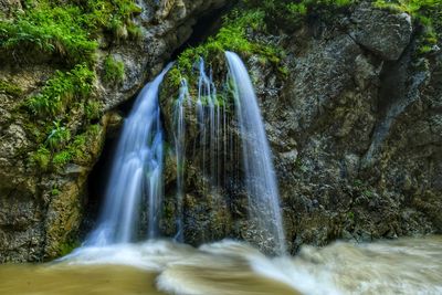View of waterfall in forest