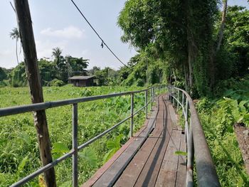 Railroad tracks amidst trees in forest against sky