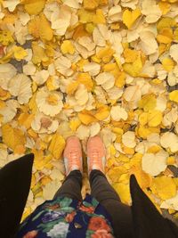 Low section of man standing on yellow autumn leaves