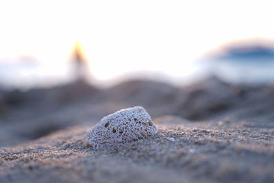 Close-up of stones on beach