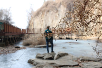 Person standing by plants during winter