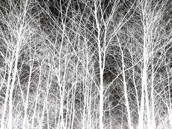 Full frame shot of snow covered land