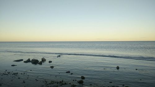 Scenic view of sea against clear sky