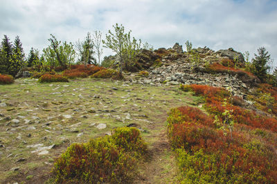 Scenic view of land against sky