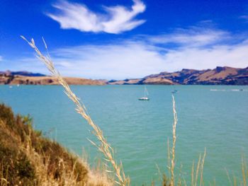 Scenic view of sea against blue sky