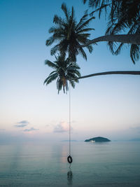 Scenic peaceful beach with overhang coconut tree silhouette and swing. koh mak island, thailand.
