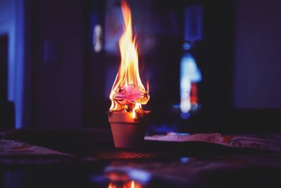 Close-up of burning potted plant on table in darkroom