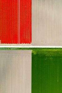 Tulip fields in the netherlands seen from aboven