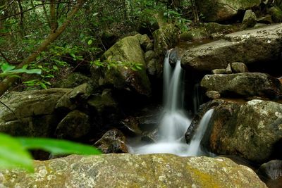 View of waterfall in forest