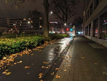 Empty road by illuminated buildings in city at night