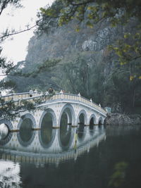Arch bridge over river against trees