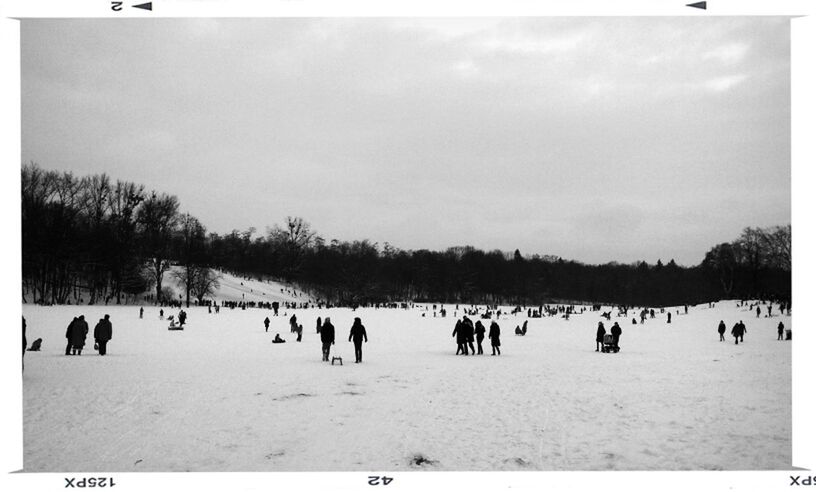 snow, winter, cold temperature, season, large group of people, weather, transfer print, lifestyles, tree, leisure activity, landscape, auto post production filter, men, sky, nature, mixed age range, white color, covering, person