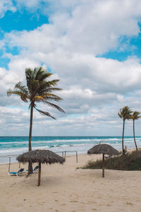 Coconut palm trees on beach against sky