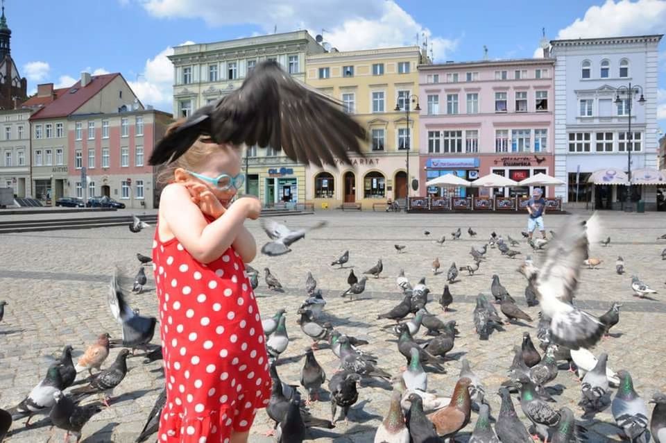 PORTRAIT OF GIRL FEEDING PIGEONS