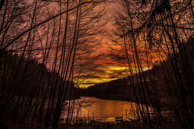 Silhouette trees by lake against sky during sunset