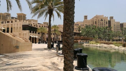 Palm trees and bollards by canal at hotel