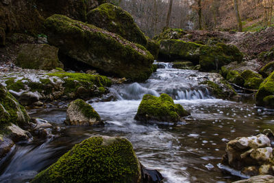 Stream flowing through rocks in forest