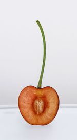 Directly above shot of fruit against white background