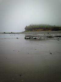 Scenic view of sea