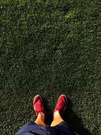 Low section of man wearing shoes while standing on grass