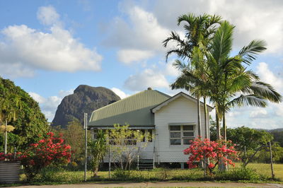 Plants and trees by house against sky