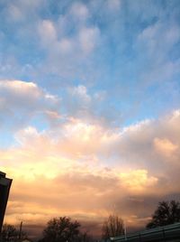 Low angle view of silhouette trees against sky