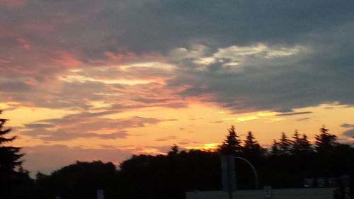 Low angle view of silhouette trees against orange sky