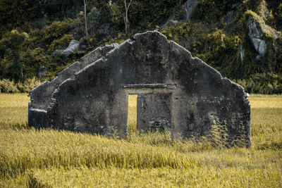 Old ruin on field
