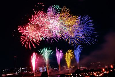 Low angle view of firework display in sky at night