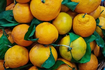 Full frame shot of oranges