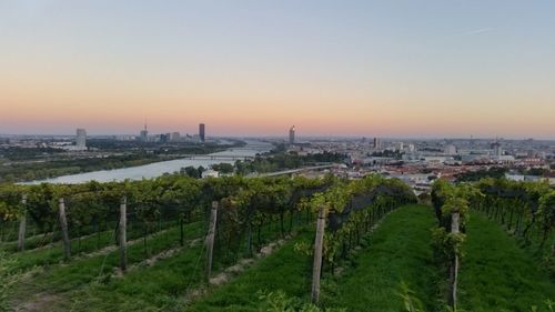 Panoramic shot of trees and buildings against sky during sunset