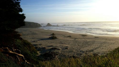 Scenic view of beach