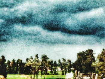 Trees on landscape against sky