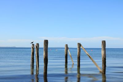 Wooden posts in sea against sky