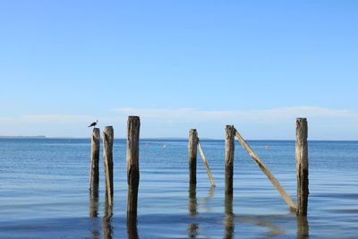 Wooden posts in sea against blue sky