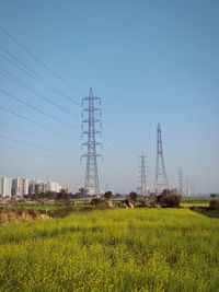 Scenic view of agricultural field against clear sky