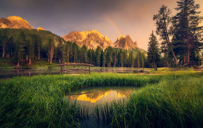 Scenic view of lake by trees against sky