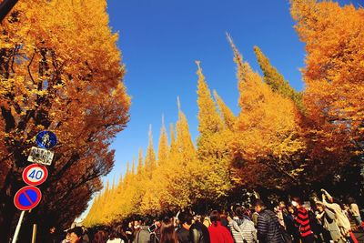 Group of people on street during autumn