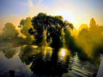 Trees by lake against sky during sunset