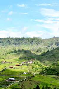 High angle view of trees on field against sky