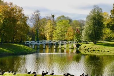 Scenic view of lake by trees against sky