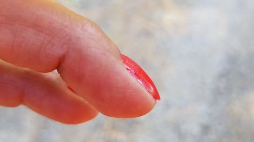 Close-up of hand holding red flower