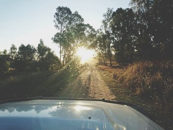 Road amidst trees against sky seen through car windshield