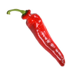 Close-up of red chili pepper against white background