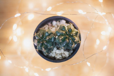 High angle view of glass with reflection on mirror